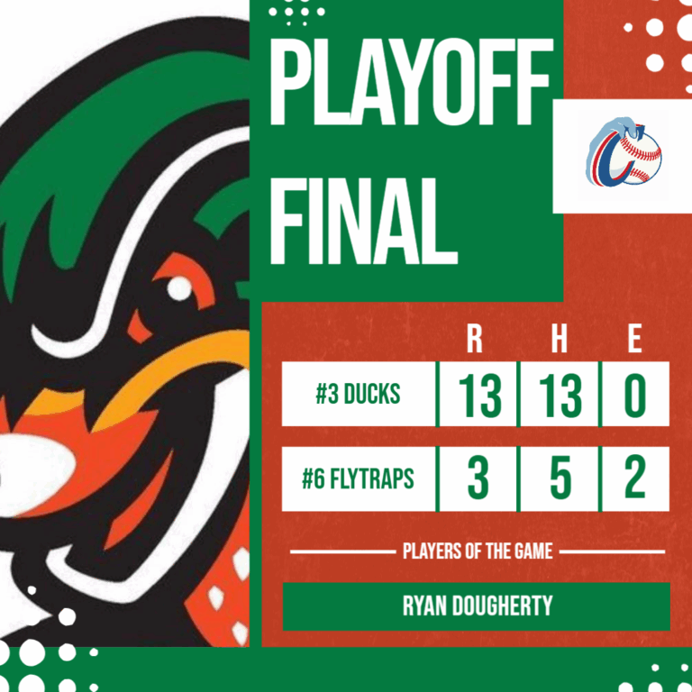 Duck Fly Past the Traps